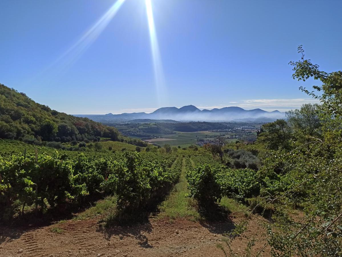 Alloggio La Perla, Quiete Ed Eleganza Con Vista Barbarano Vicentino Exterior photo