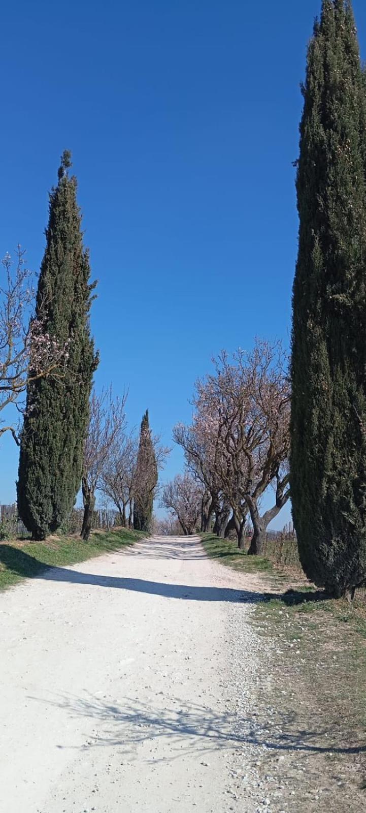 Alloggio La Perla, Quiete Ed Eleganza Con Vista Barbarano Vicentino Exterior photo